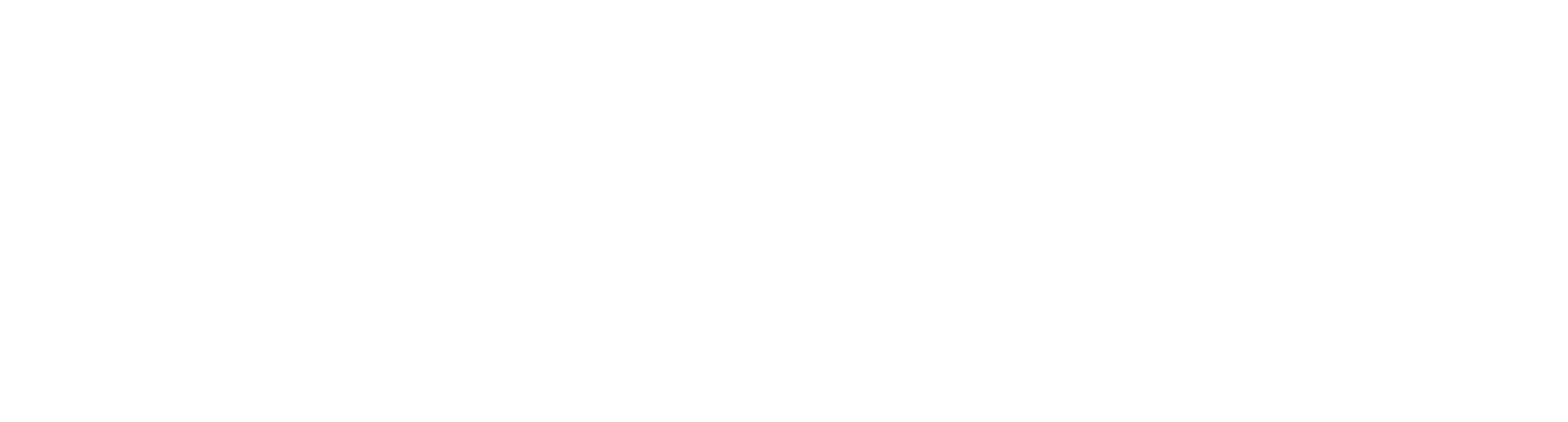 IOPAY
